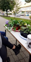 zdjęcia 1 strażak – zbiórka